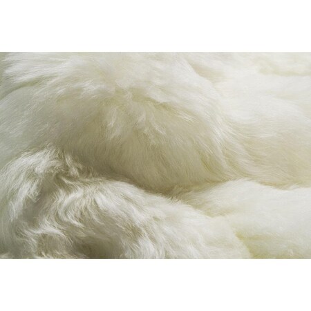 Homeroots 2.5 x 2 x 3 in. Icelandic Sheepskin Single Short-Haired Rug White 293181